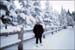A white Christmas at Buffalo Mountain Lodge, Banff, Canada, Christmas 2002