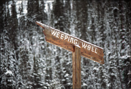 Weeping Wall Banff Canada