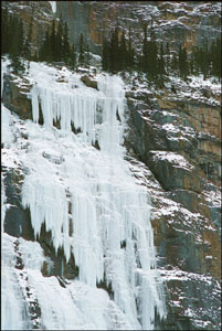 Weeping Wall Banff Canada
