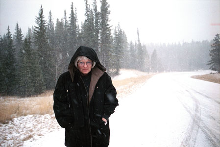 Snowy day, Banff Canada