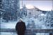 A white Christmas at Buffalo Mountain Lodge, Banff, Canada, Christmas 2002