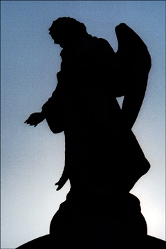 Angels of Recoleta Cemetery Buenos Aires