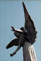 Angels of Recoleta Cemetery Buenos Aires