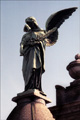 Angels of Recoleta Cemetery Buenos Aires