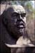 Alfonso-Reyes