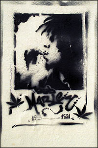 Here's a Bob Marley poster stenciled onto a wall. I don't know the purpose. I gather that Bob Marley's band, The Wailers, performed at the Coca-Cola Reggae Festival in Buenos Aires