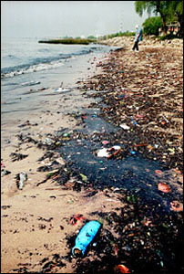 It is unfortunate that the Rio de la Plata is so polluted.