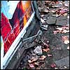 Belgrano-Sidewalk