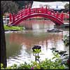 Japanese-Garden