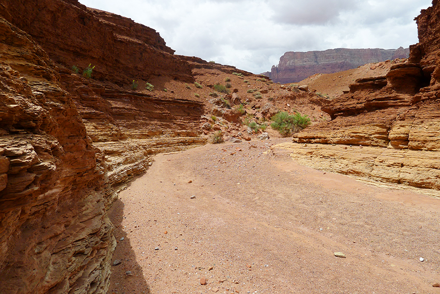 Cathedral Wash, Lee's Ferry, Arizona