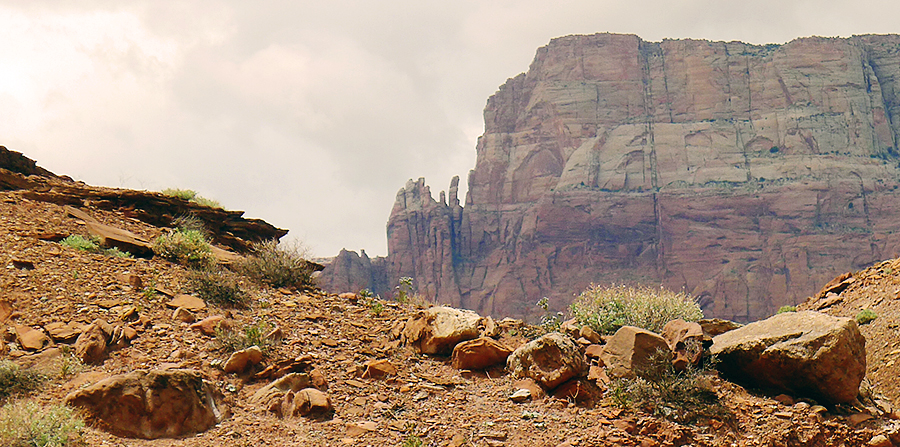 Cathedral Wash, Lee's Ferry, Arizona