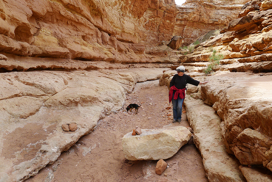 Cathedral Wash, Lee's Ferry, Arizona