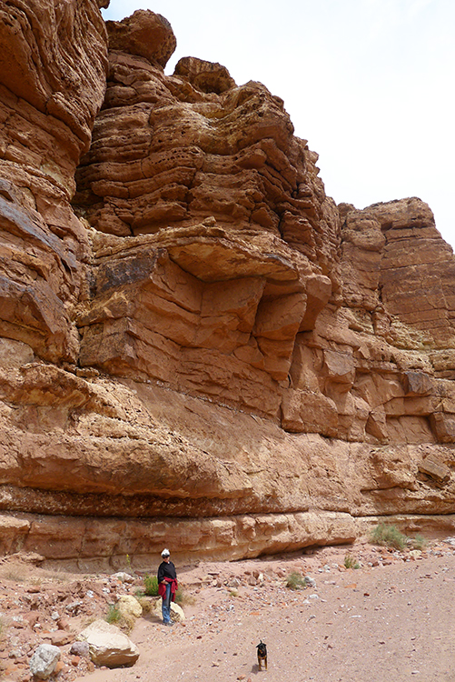 Cathedral Wash, Lee's Ferry, Arizona