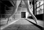 Jerilyn-Toeshoes-Timbers