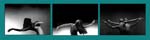Triptych One