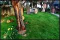 Church of St. Bartholmew, Horley