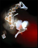 Magic trick illusion with cards and doves