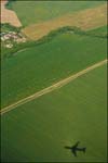 10-First-Mark-Russian-Soil