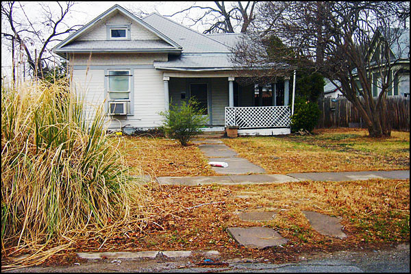 Pampas-Grass