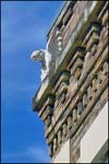 Gargoyle