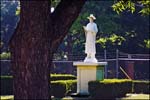 Korean-Friar