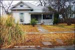 Pampas-Grass
