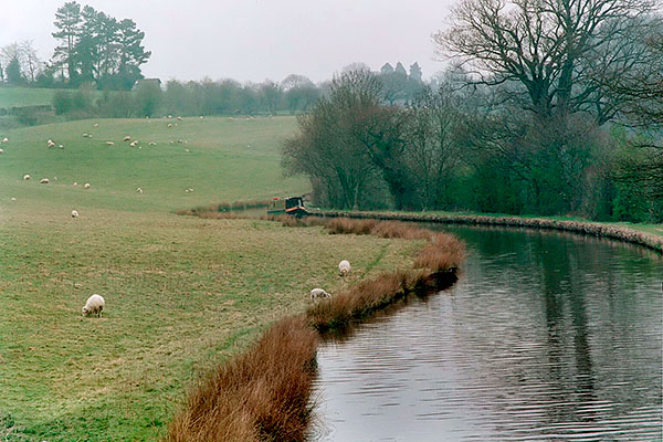 27Moored-near-Trevor.jpg