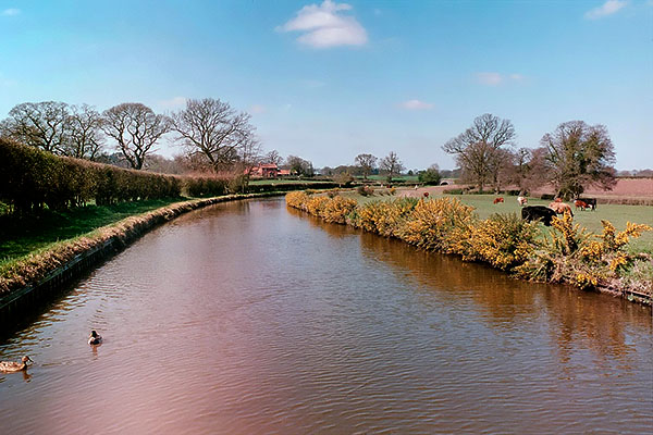 Narrowboat. Shropshire Pasture