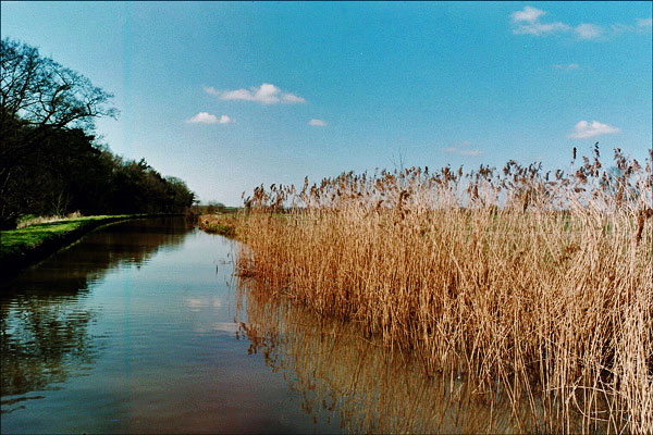 Narrowboat. Rushes along canal