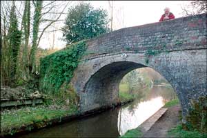 Narrowboat. Bbridge 55 just west of Cole Mere, near the town of Ellesmere. 