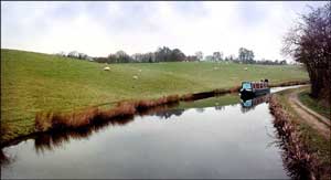 Narrowboat. We are passed by a Canaltime rental 