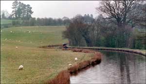 27Moored-near-Trevor.jpg