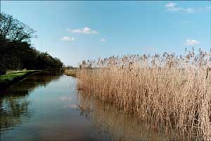 Narrowboat. Rushes along canal