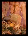 Rockface