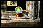 Train depot, Marathon, Texas